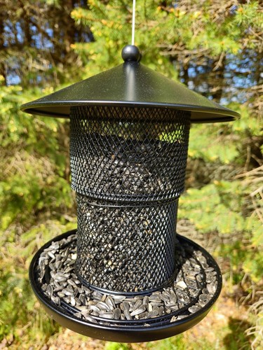 Bird feeder for outdoor - for,