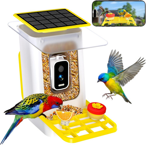 Bird feeder with - bird, smart