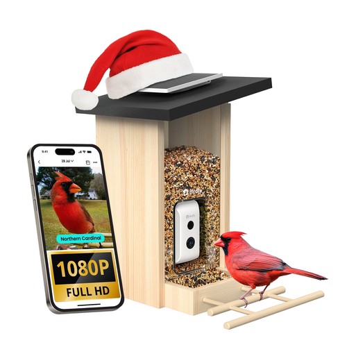 Birdfy netvue2 smart bird - netvue2,