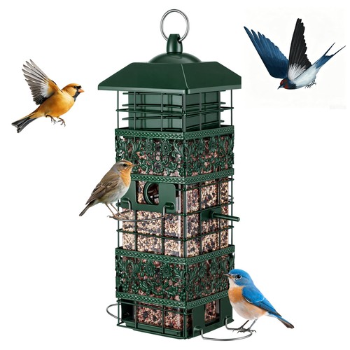 Squirrel proof bird - proof, feeder