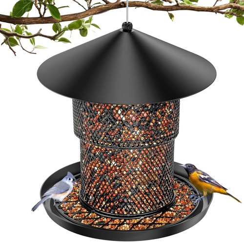 Bird feeder for outdoor 6lb - bird,