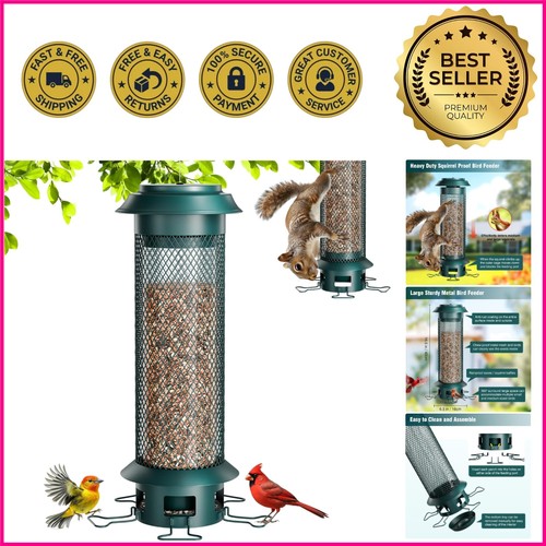 Squirrel buster legacy - buster,
