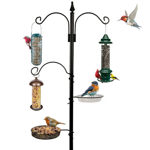New traditional bird feeding - new,