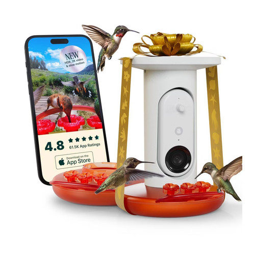 Bird buddy smart hummingbird - smart,