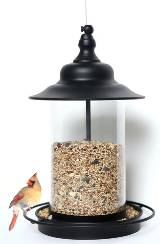 Squirrel proof bird feeder - squirrel,