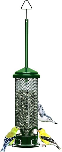 Brome squirrel buster - brome,