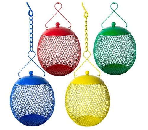 Endarius set squirrel - of, 4