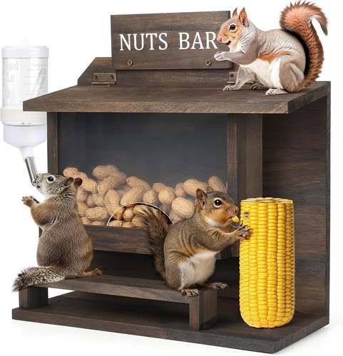 Squirrel feeders for - feeders,