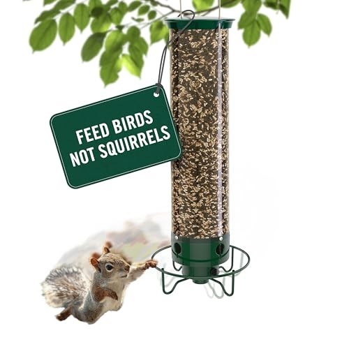 Droll yankees squirrel - droll, proof