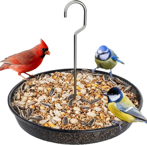 Hanging bird feeder - bird,