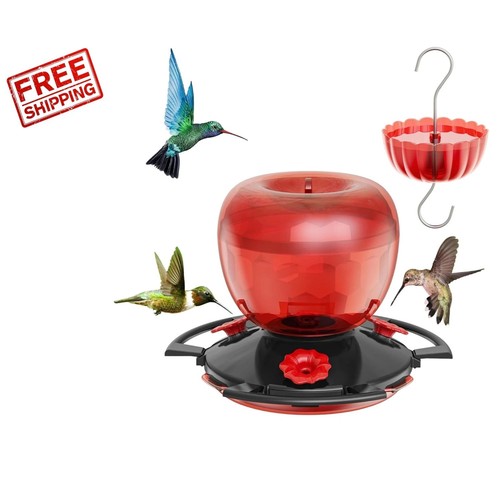Hummingbird feeder for - hummingbird,