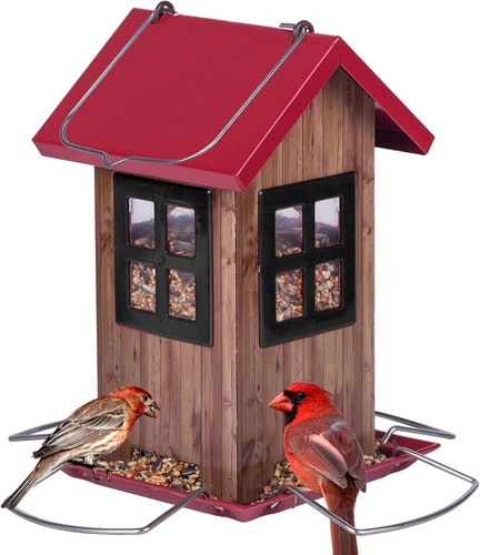 Squirrel proof bird feeder - bird, for