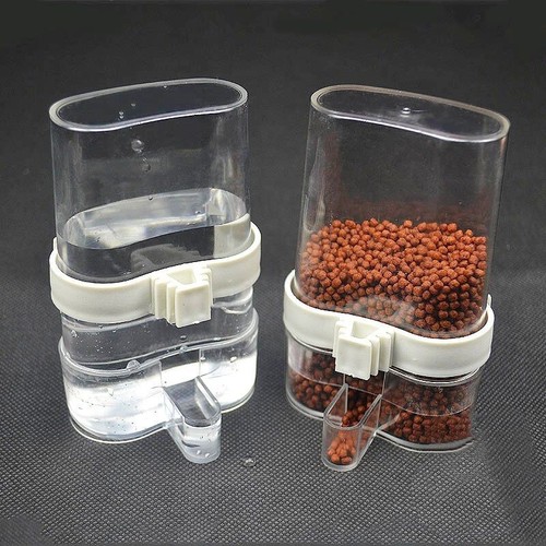 Bird feeder food - feeder,