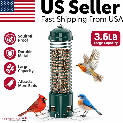 Squirrel proof bird feeder - proof,