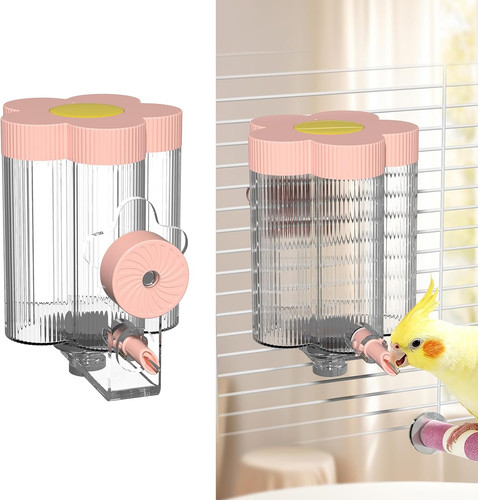 Mess bird water - mess,
