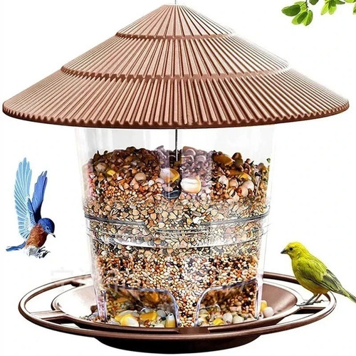 Hanging wild bird feeder - wild,