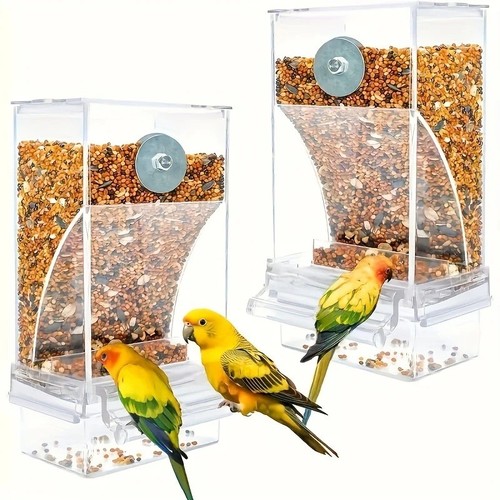 Transparent acrylic bird - acrylic,