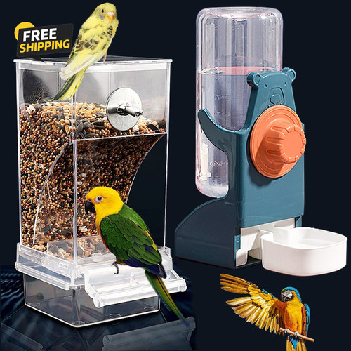 Mess bird feeder water - mess,
