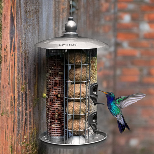 Hanging wild garden bird - garden,