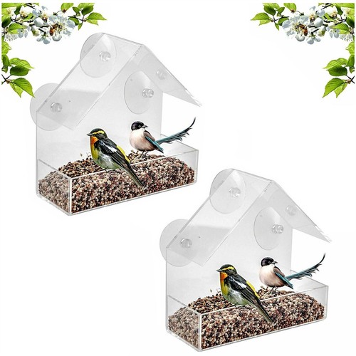 Window bird feeder wild - x,