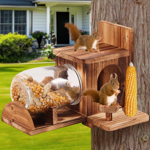 Squirrel feeder wood - squirrel,