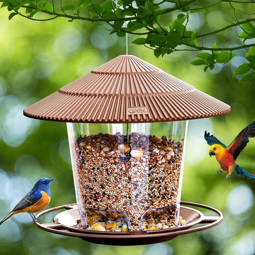 Hanizi bird feeder outdoor - bird,