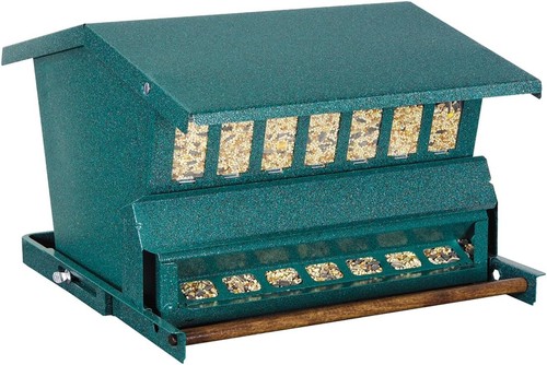 Heritage farms squirrel proof - squirrel,