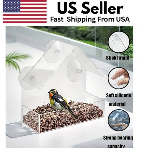 Clear window bird feeder - bird,