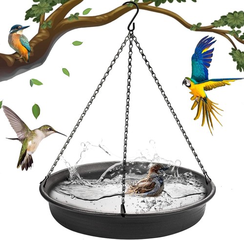Hanging bird bath - bird,