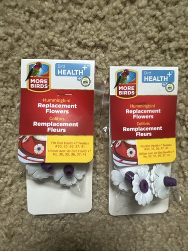 New more birds replacement - more,