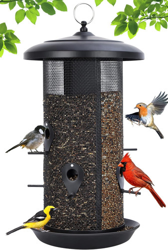 Bird feeders for - for, all