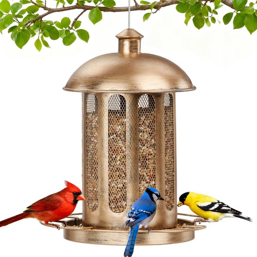 Bird feeder large - bird,