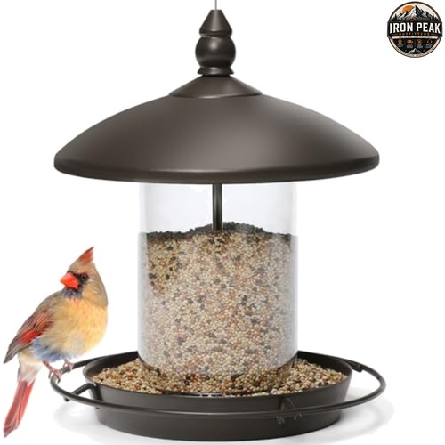 Wild bird feeder bronze - bird,