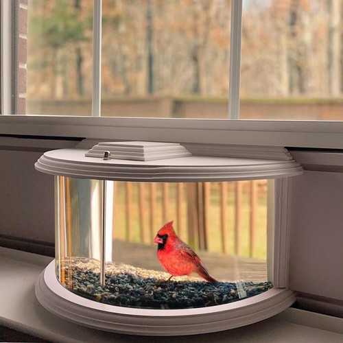 Window bird feeders for - window,